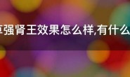 虫草强肾王效果怎么样,有什么副作用?(聊聊虫草强肾王是壮阳药吗?)