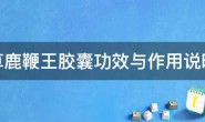 虫草鹿鞭王胶囊功效与作用(关于虫草鹿鞭王效果好吗)